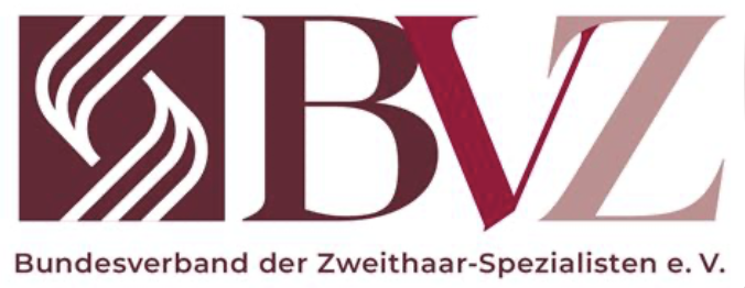 BVZ Logo